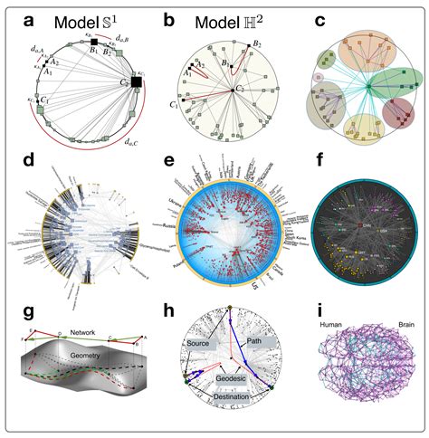 hyperbolic geometry of complex networks